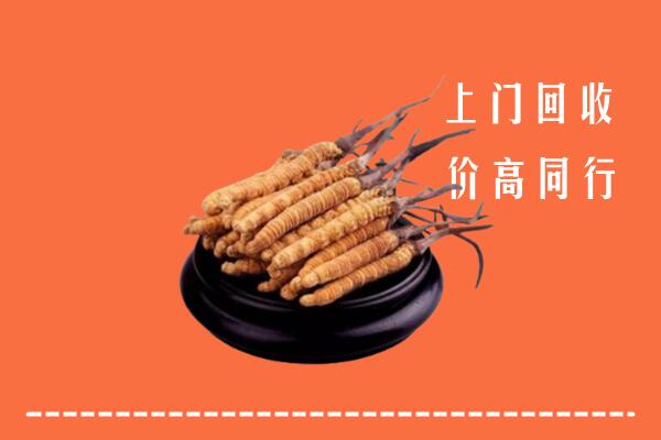 甘孜冬虫夏草回收多少钱每克