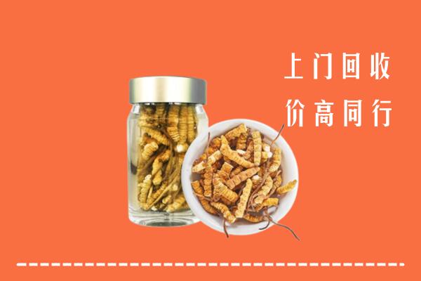 高价求购：甘孜回收冬虫夏草